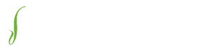 Deco Logo